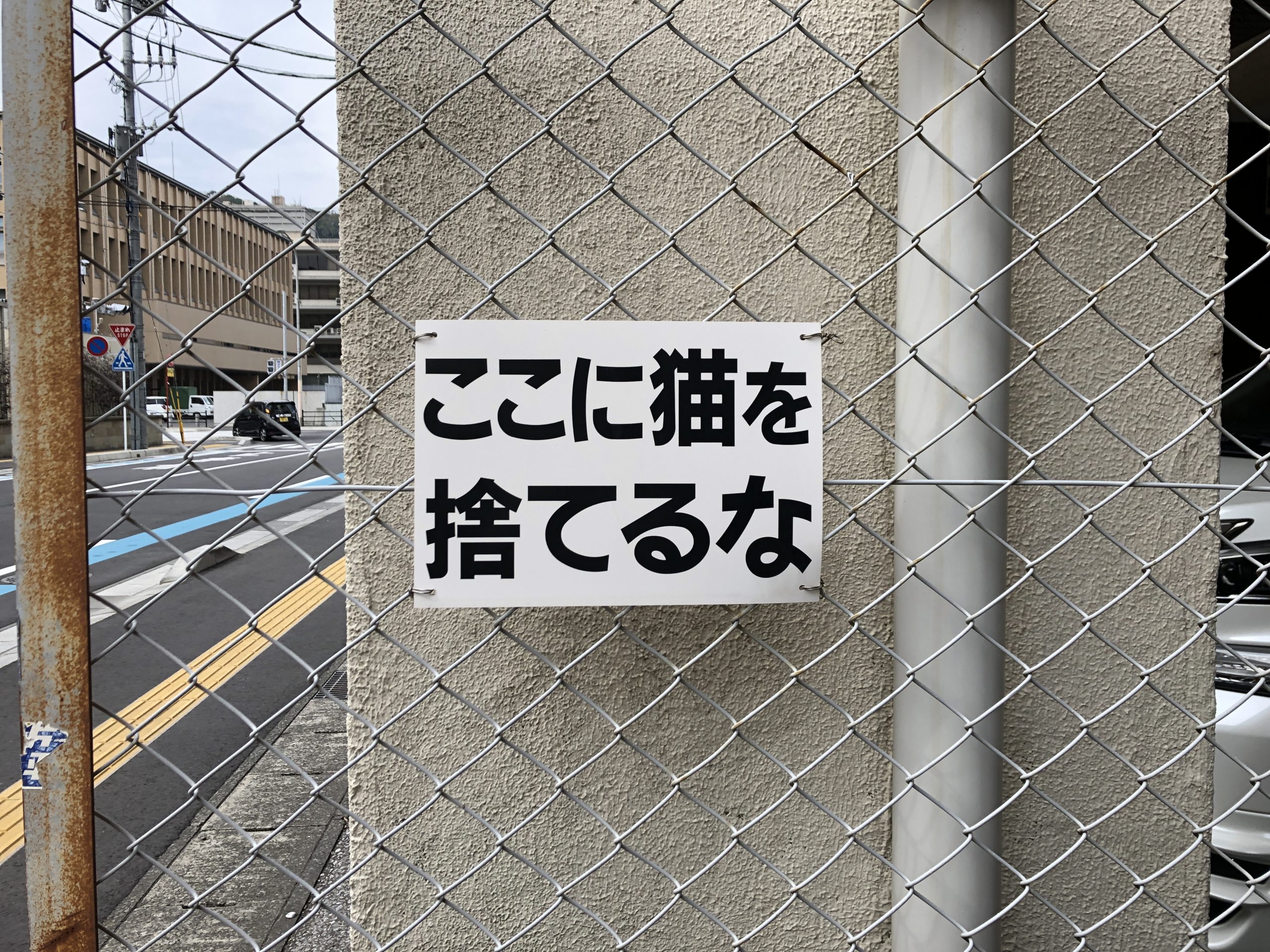 【鹿児島研修 – 3日目】法学部生が農家コンサルタントになろうとする話 – 97